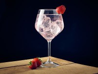 Misket Gin Cocktail Balloon Glass 64.5cl / 22.5oz with Warner Edwards Gin