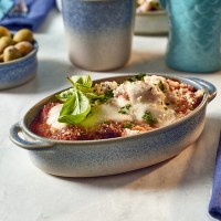 OvalEaredCoastDish